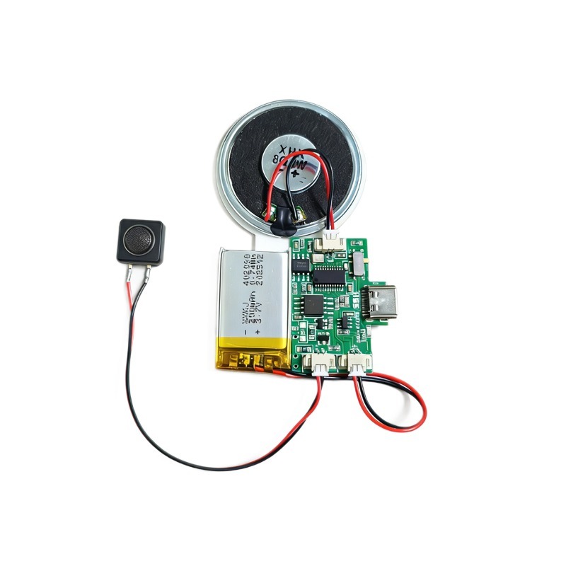 Download Audio Music Player - Modulo Audio Wireless Ricaricabile con Chip
